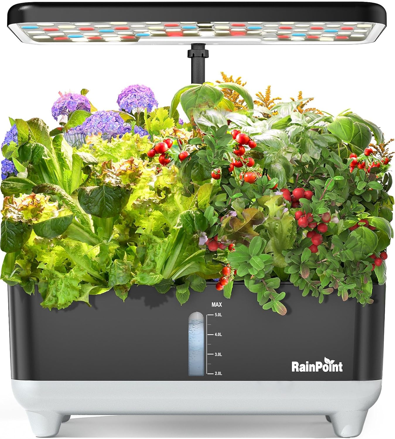 RAINPOINT Hydroponics Growing System Kit for Indoor Gardening