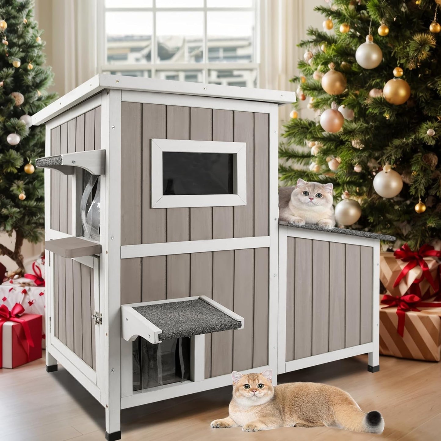 Outdoor Cat House for 2-3 Cats with Weatherproof Design