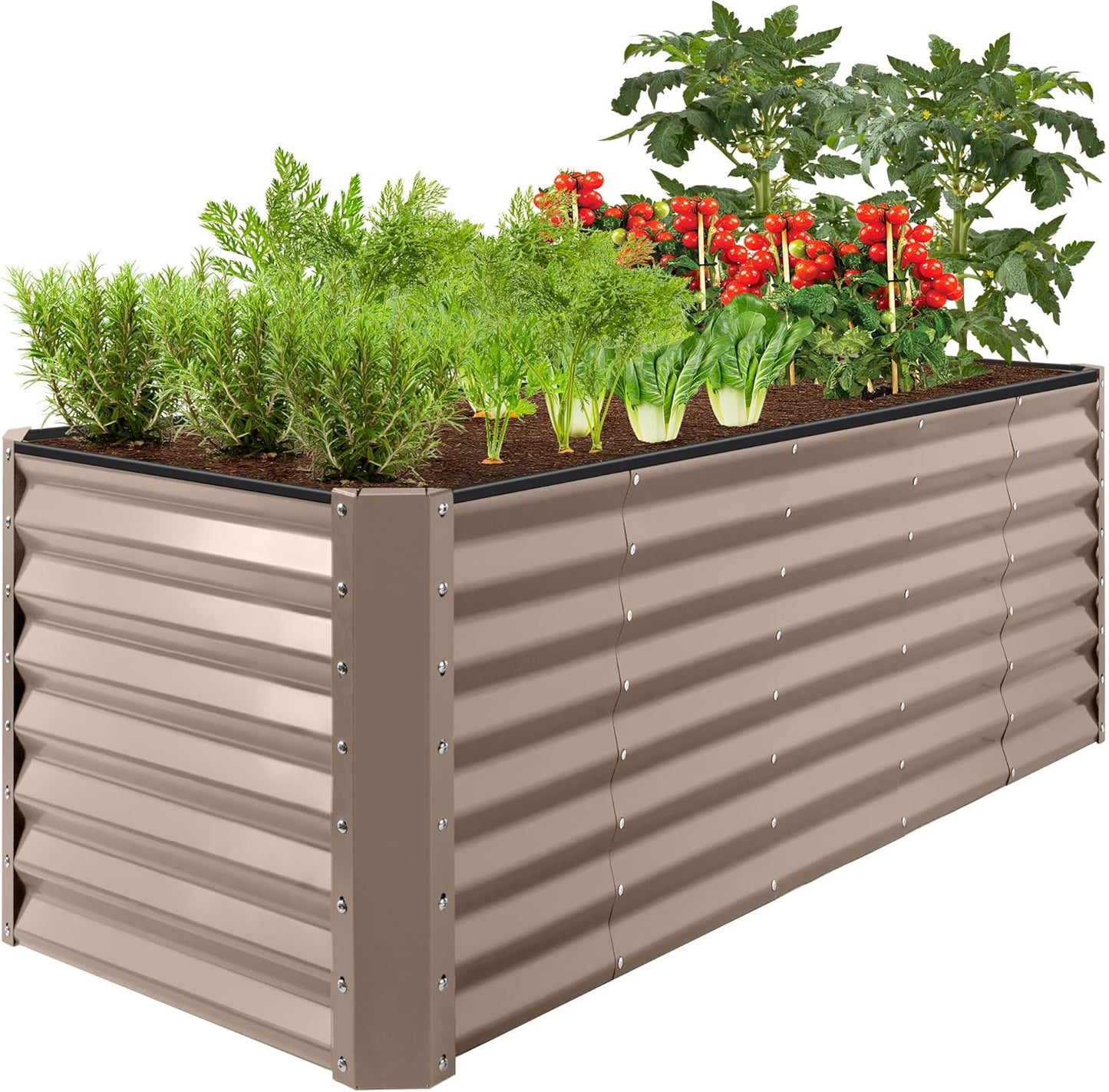 Outdoor Metal Raised Garden Bed for Vegetables and Flowers