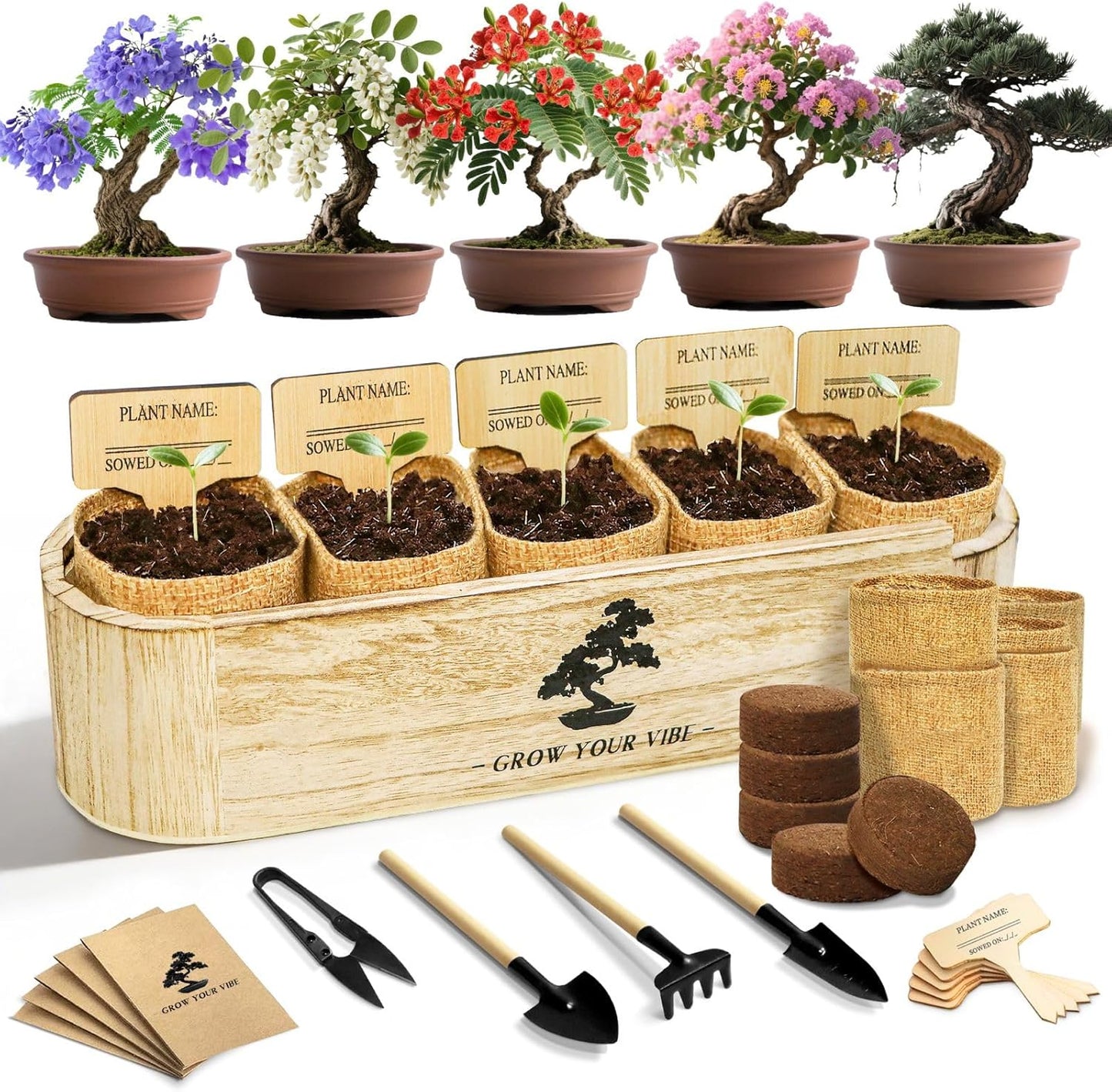 Bonsai Tree Starter Kit for Beginners - Complete Grow Kit
