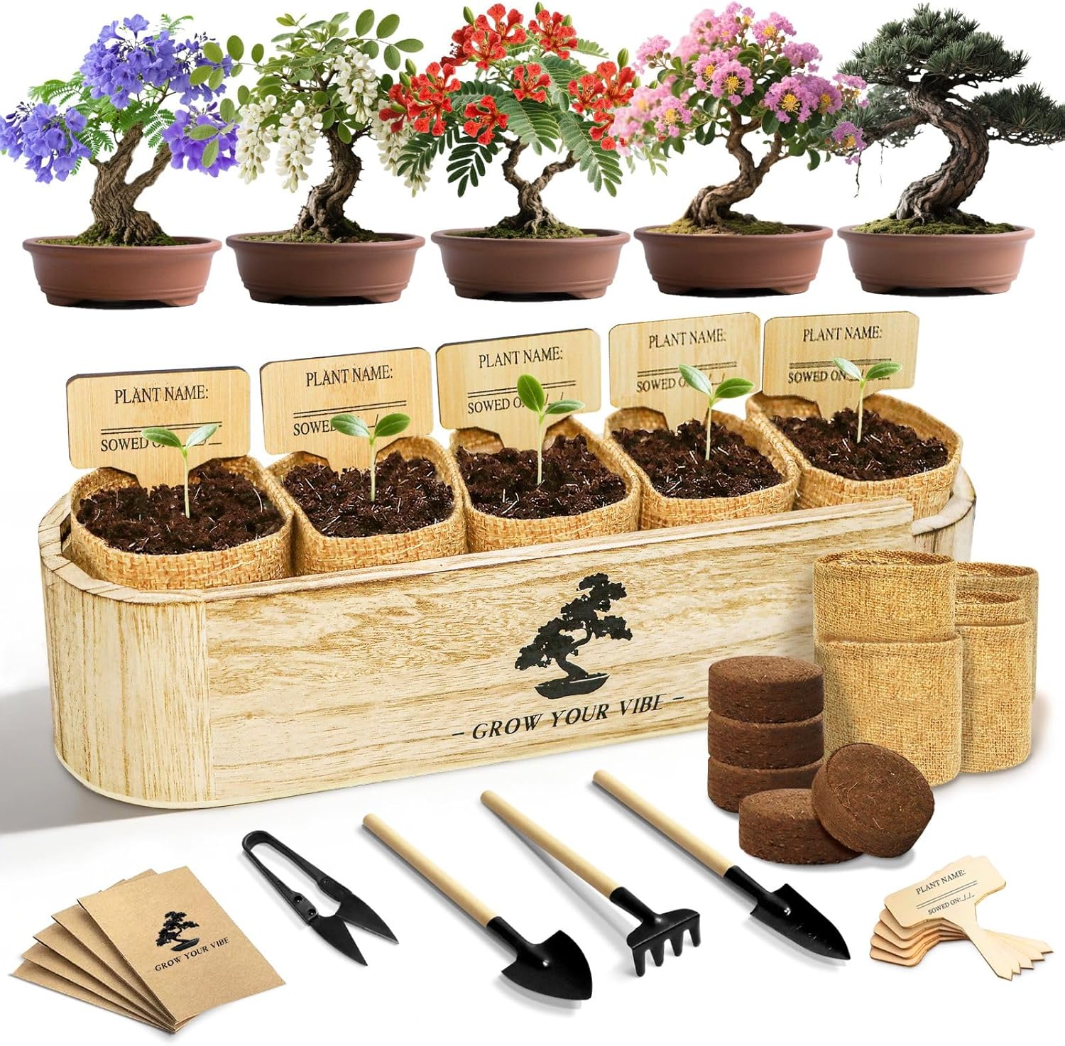 Bonsai Tree Starter Kit for Beginners - Complete Grow Kit