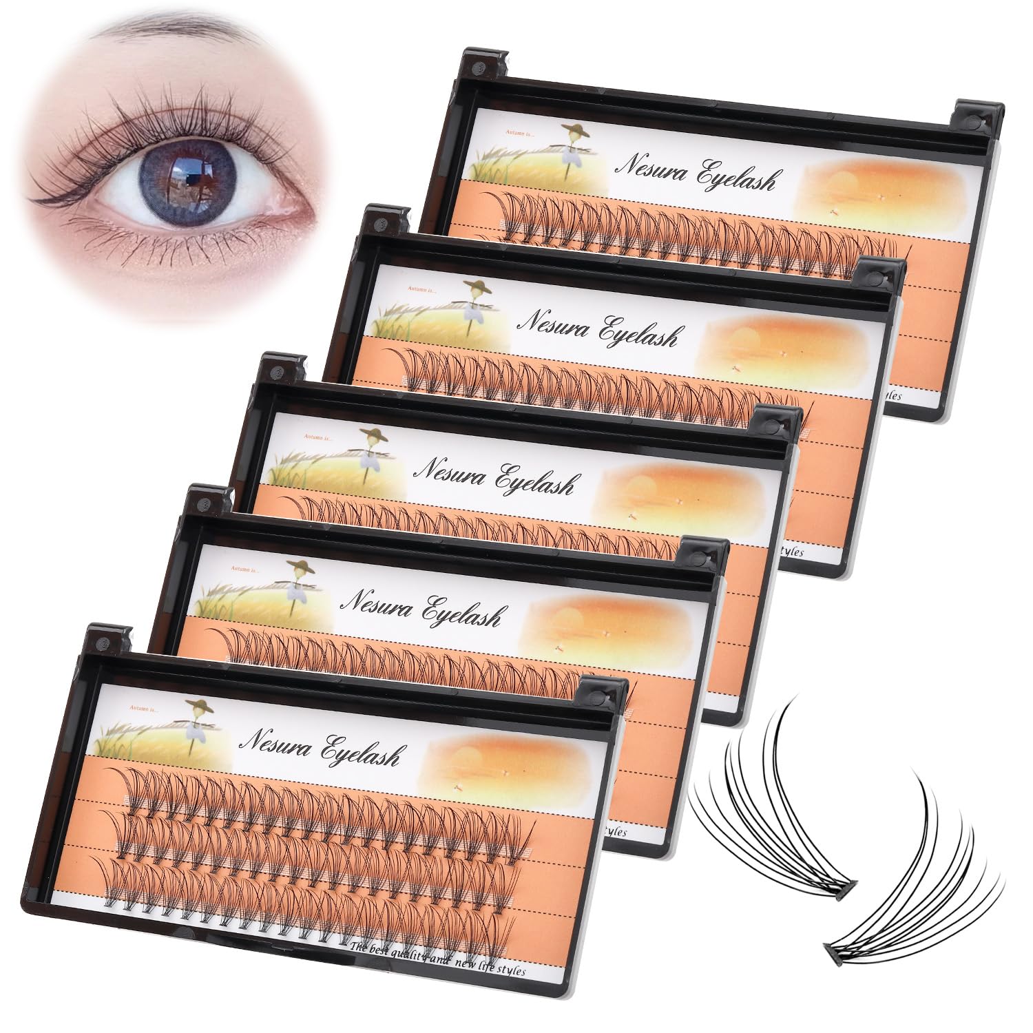 BODERMINCER 10D Cluster False Eyelashes for Natural Look