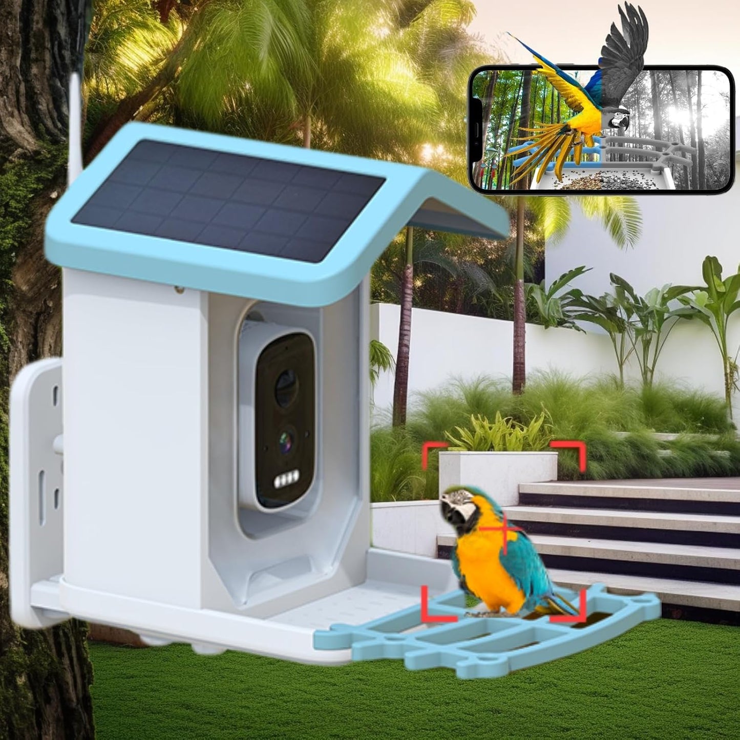 2K Solar Cam Bird Feeder - Ai Capture - WiFi