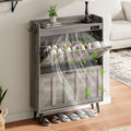 ChooChoo Shoe Storage Cabinet with 2 Flip Drawers - Slim Deodorizing