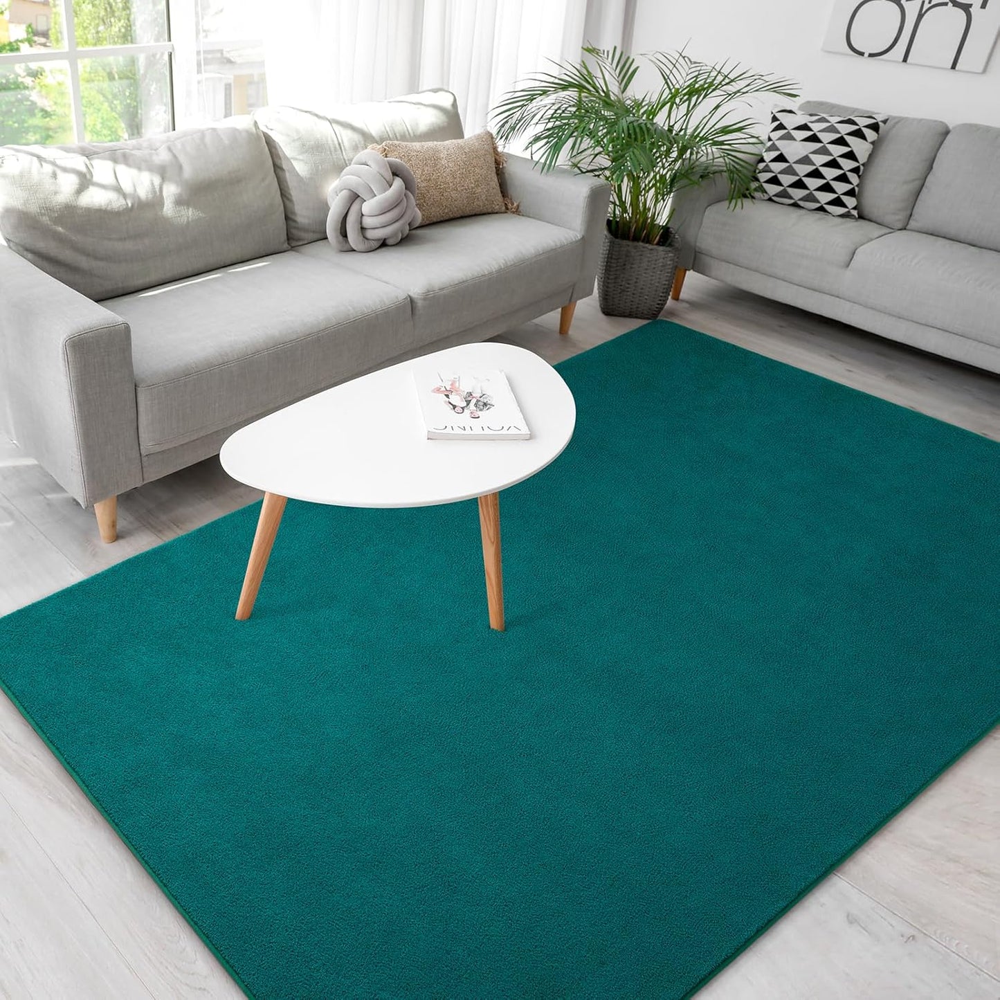 Soft Rugs for Living Room 5x7 Teal Green, Modern Area Rug