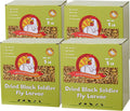 Black Soldier Fly Larvae 20LB Chicken Treats - High Calcium 4 Pack