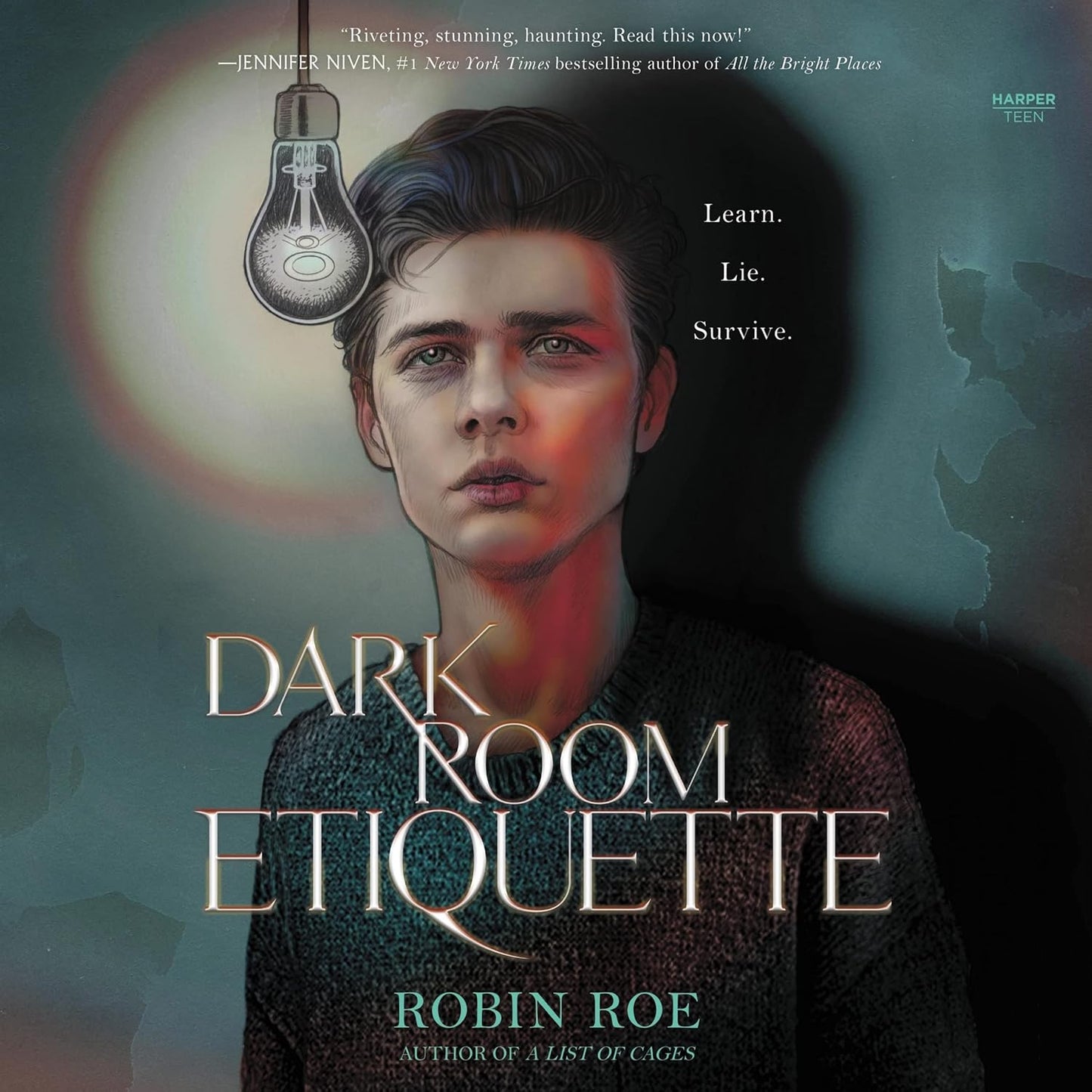 Dark Room Etiquette by Robin Roe: A Gripping Young Adult Novel