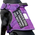 Reflective Service Dog in Training Vest Harness for Large Dogs