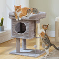 PAWZ Road Cat Tree for Indoor Cats with Large Perch and Condo