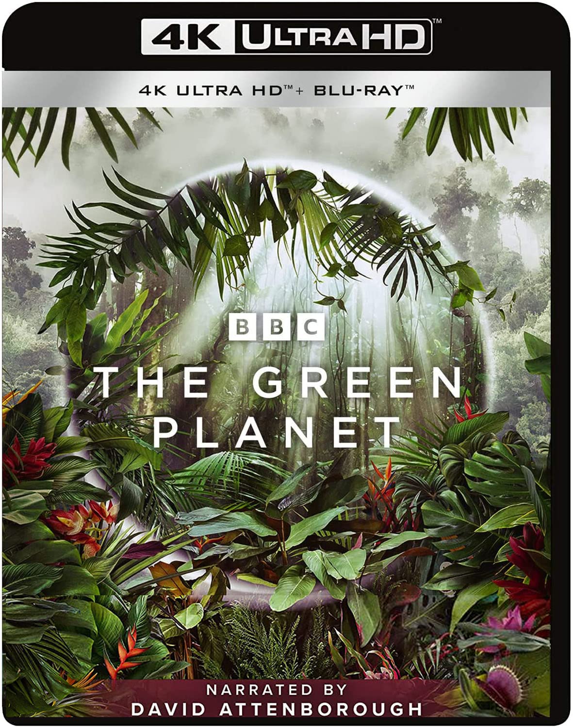 Green Planet 4K UHD: Stunning Visuals for Nature Enthusiasts
