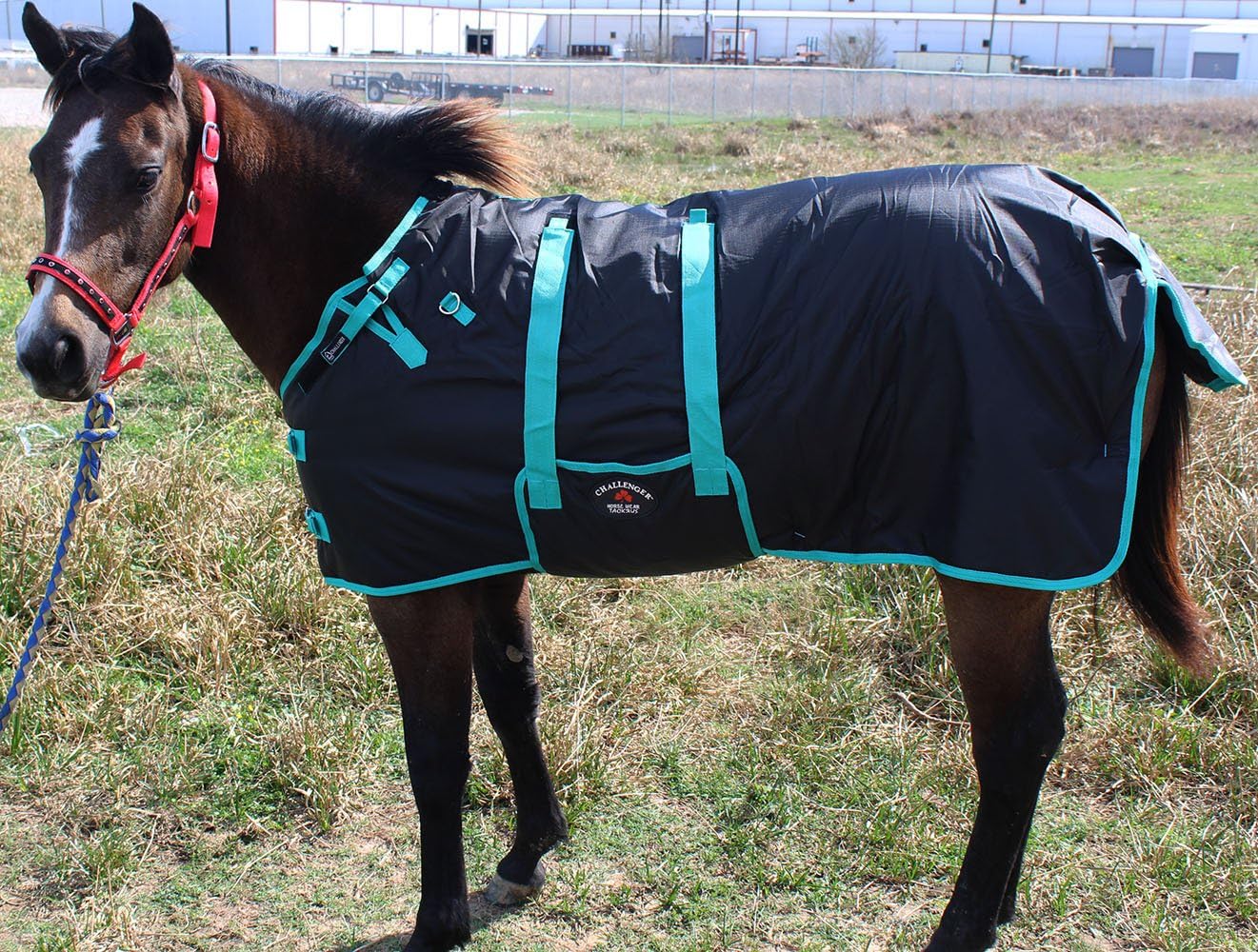 1200D Weanling Donkey Foal Winter Blanket - CHALLENGER