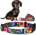 Easy Click Buckle Dog Collar and Leash Set - Secure Fit, Stylish