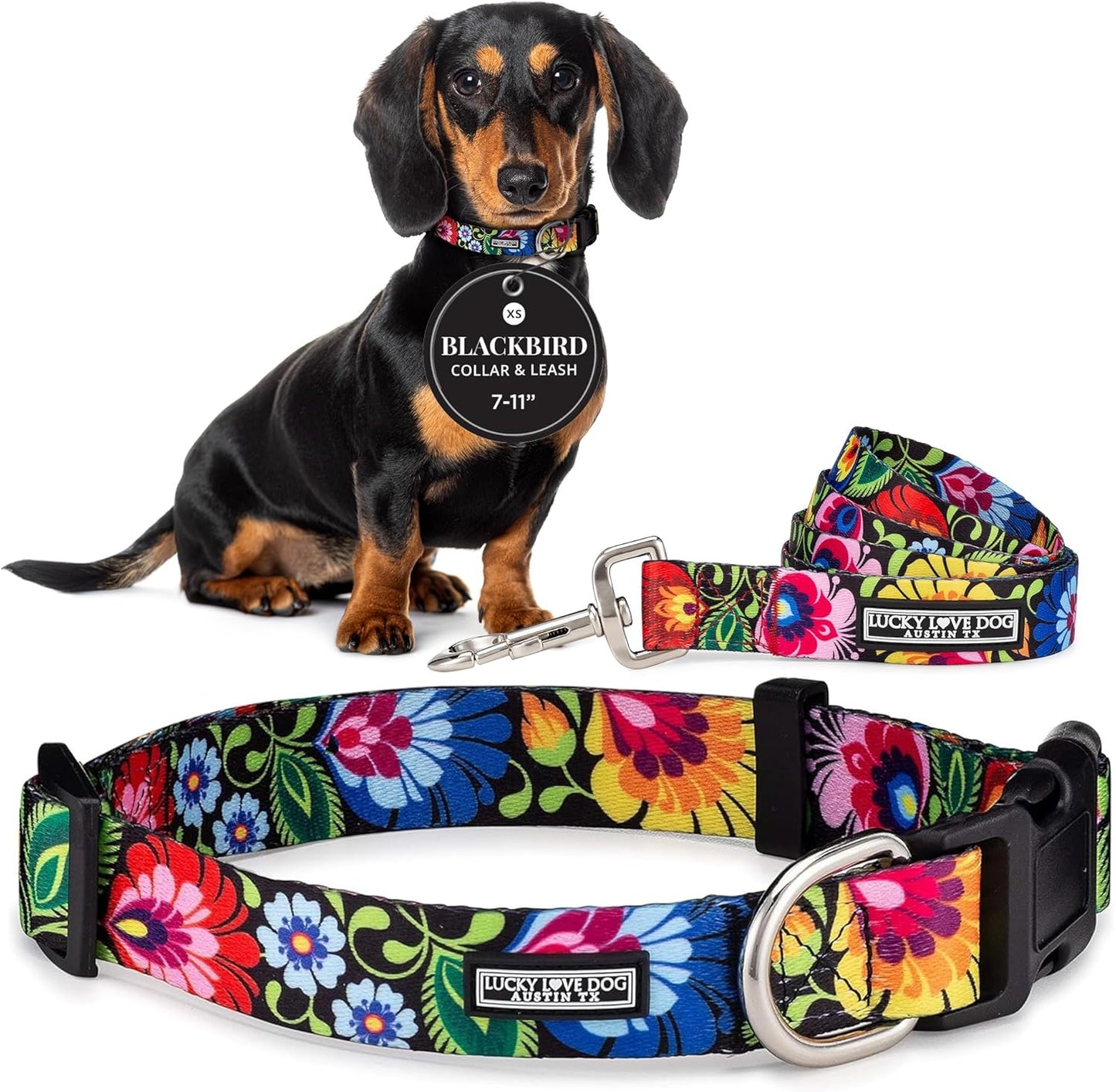 Lucky Love Dog Collar and Leash Set for All Dog Sizes