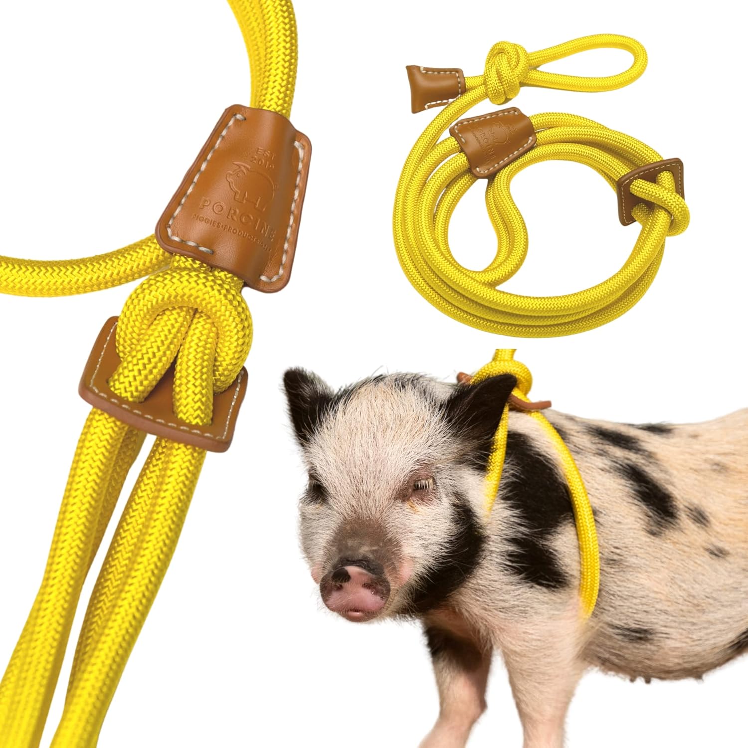 Mini Pig Harness & Leash - Adjustable Infinity Style Lead