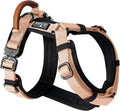 MADE TO ROAM Premium Explorer Harness - Comfortable, Durable Fit