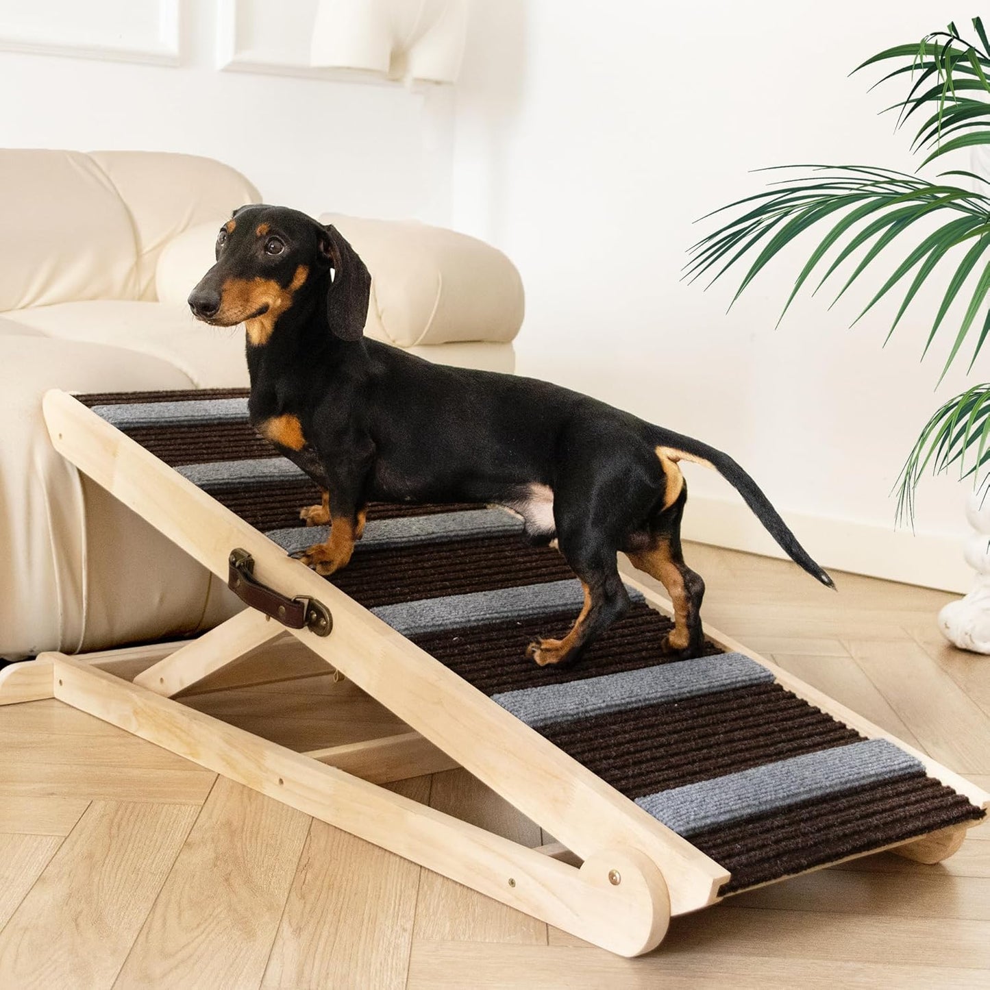 Adjustable Folding Dog Ramp for Bed, Couch & Vehicles - Safe & Rugged