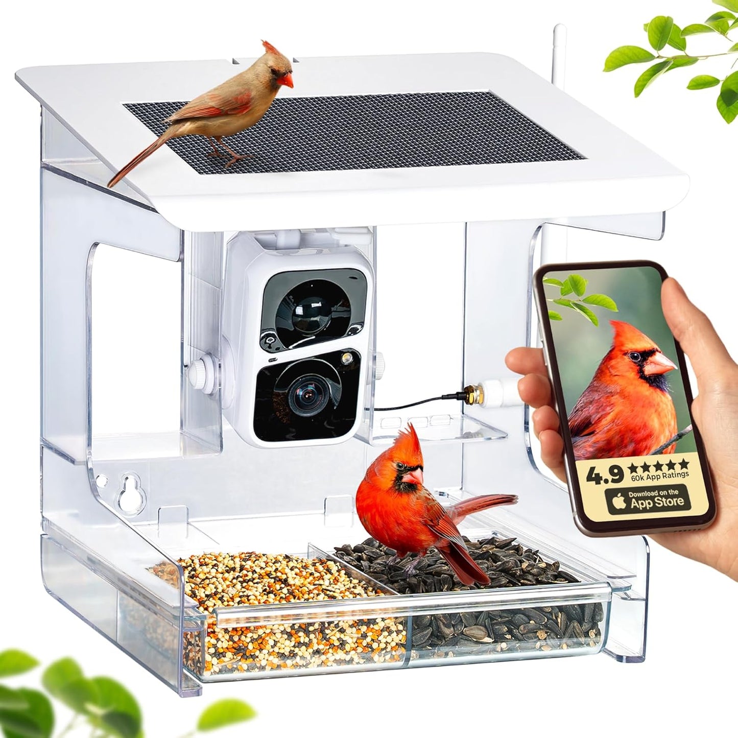 AI Smart Bird Feeder w/ XL Tray & AI ID