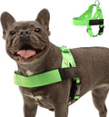 Dog Harness Neon Green Size M - Comfortable, Adjustable Walk Harness