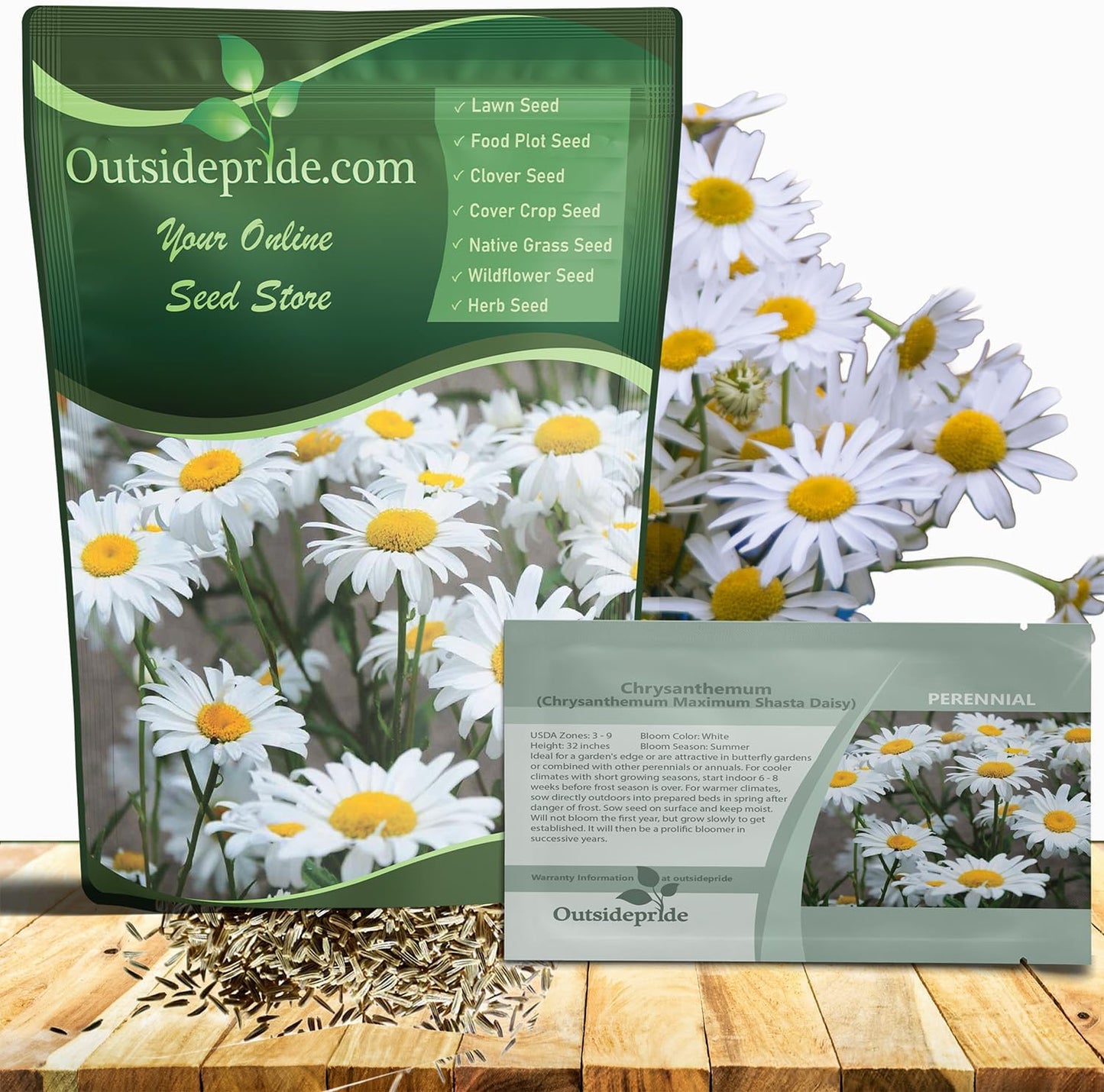 Shasta Daisy Seeds for Vibrant Gardens and Pollinator Support