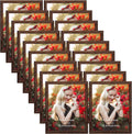 PETAFLOP Wooden Bulk 8x10 Picture Frame Set for Display