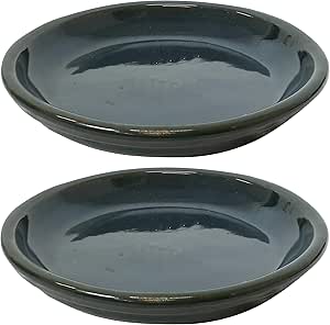 Sunnydaze Ceramic Flower Pot Saucers Set of 2 for 7-Inch Planters