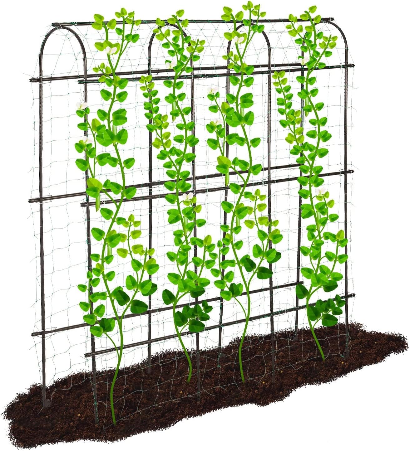 Large 6ft Tall Metal Trellis for Climbing Plants Support