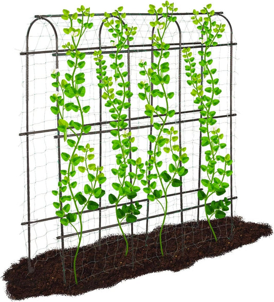 Large 6ft Tall Metal Trellis for Climbing Plants Support