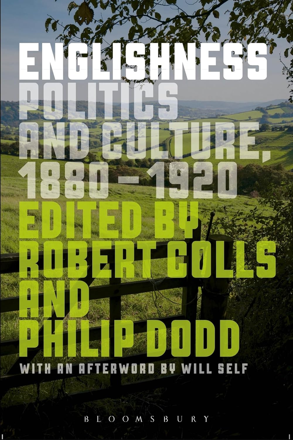 Englishness: Politics and Culture 1880-1920 - A Comprehensive Study