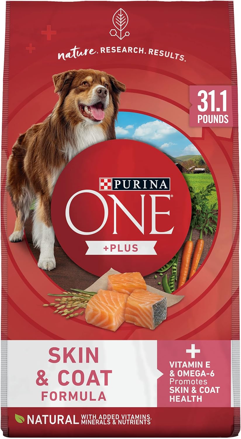 Purina ONE Sensitive Stomach Dry Dog Food for Healthy Skin & Coat