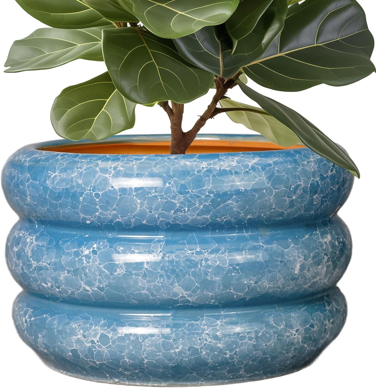 SQOWL Ceramic Plant Pot Indoor with Drainage Hole for Decor