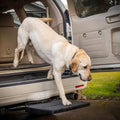 Pet Ramp Step Helps Dogs Get in & Out of Car - Portable Hitch Step