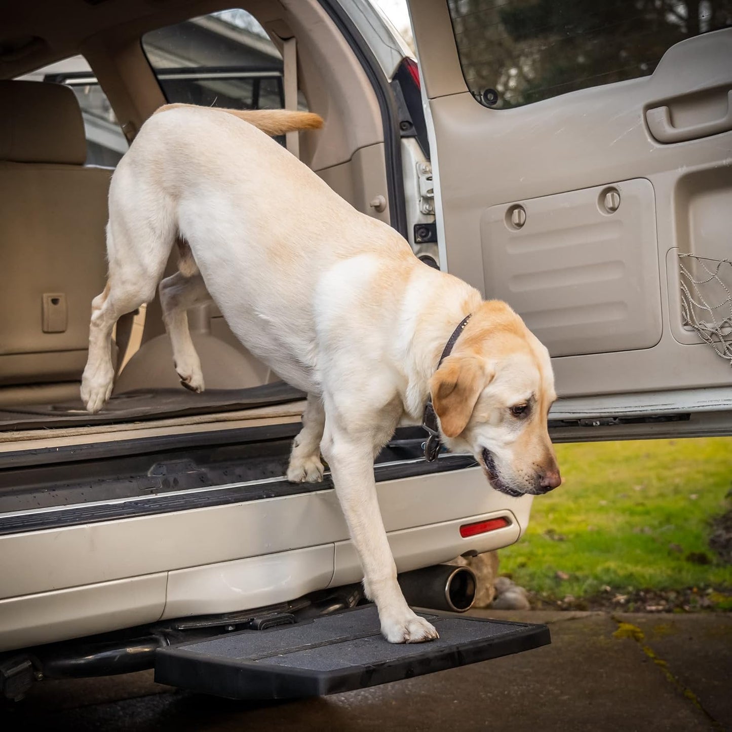 Pet Ramp Step for Easy Car Access - Lightweight & Portable