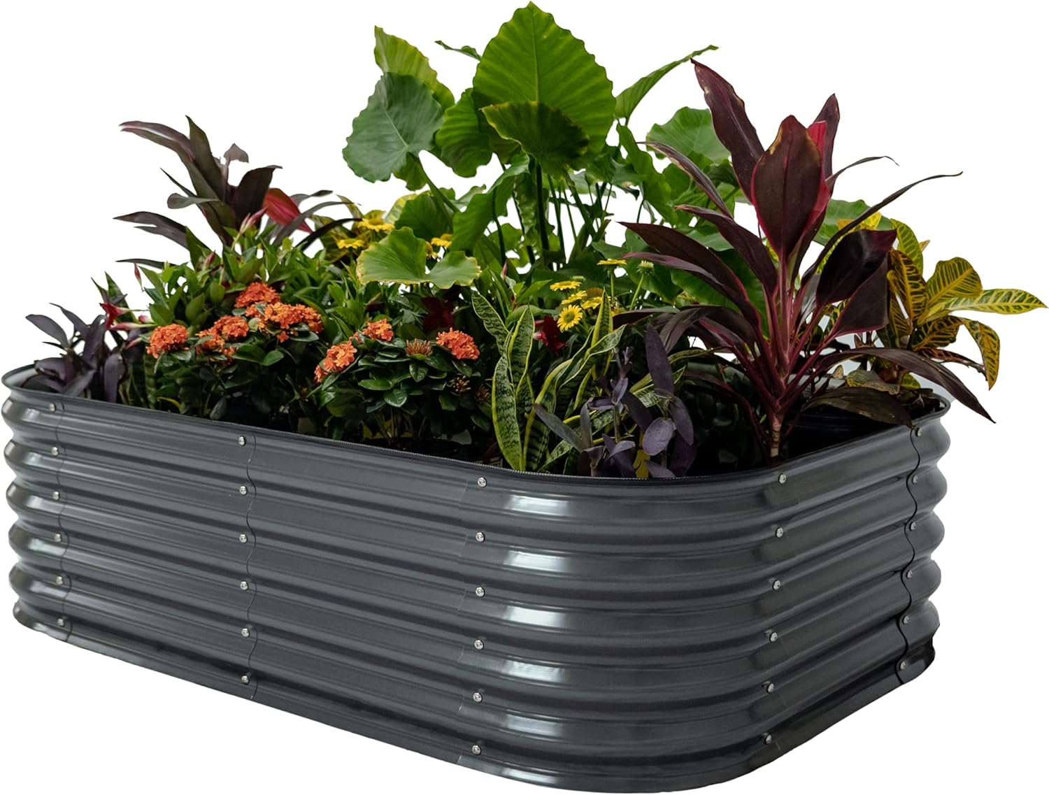 Vego Garden Aluzinc Raised Garden Bed Kits for Modern Gardening