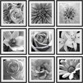 eletecpro 24x24 Picture Frames Set of 9 - Classic Gallery Wall Set