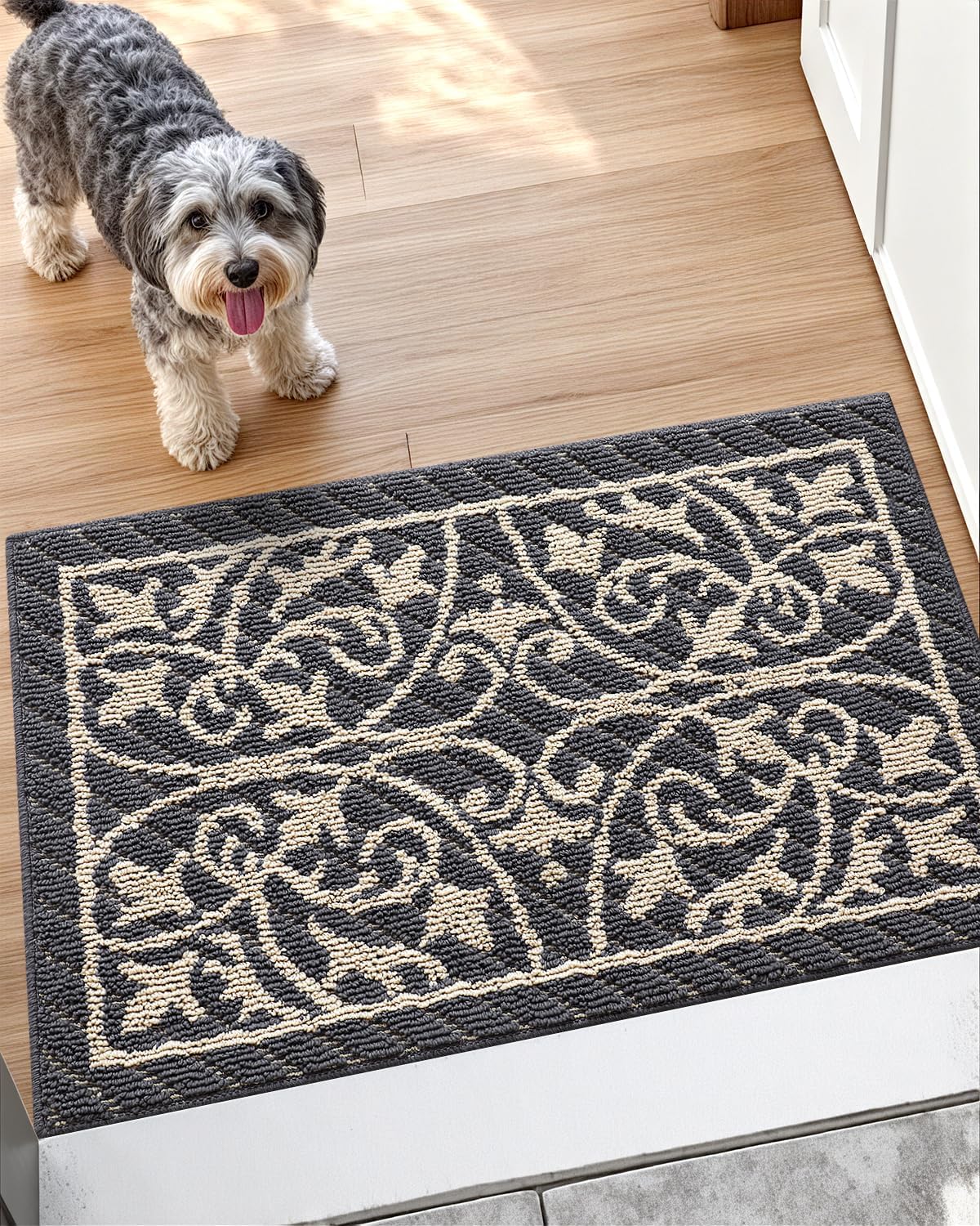 DEXI Front Door Mat Entryway, Low Profile Non Slip Washable
