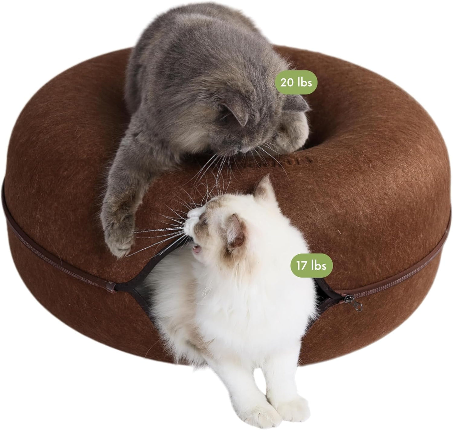 CATTASAURUS Peekaboo Cat Cave for Large Cats and Dogs