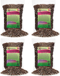 Carnivorous Plant Soil - Ready to Use Mix for Venus Flytraps & More