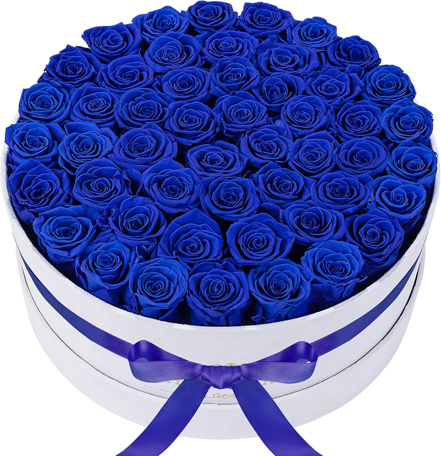50 Piece Royal Blue Roses in Velvet Box for Lasting Memories