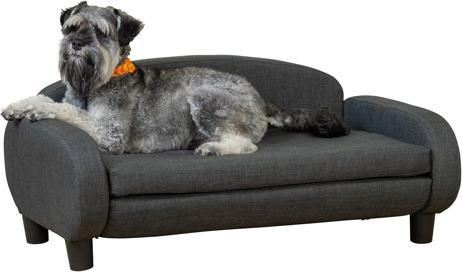 Paws & Purrs Multi-Cat Sofa Elevated Pet Bed for Indoor Cats