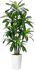 Artificial Dracaena Plant 6FT - Lifelike Faux Tree with Tall White