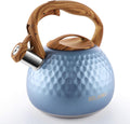 Tea Kettle for Stovetop 2.7 Quart - Glacier Blue Whistling Kettle