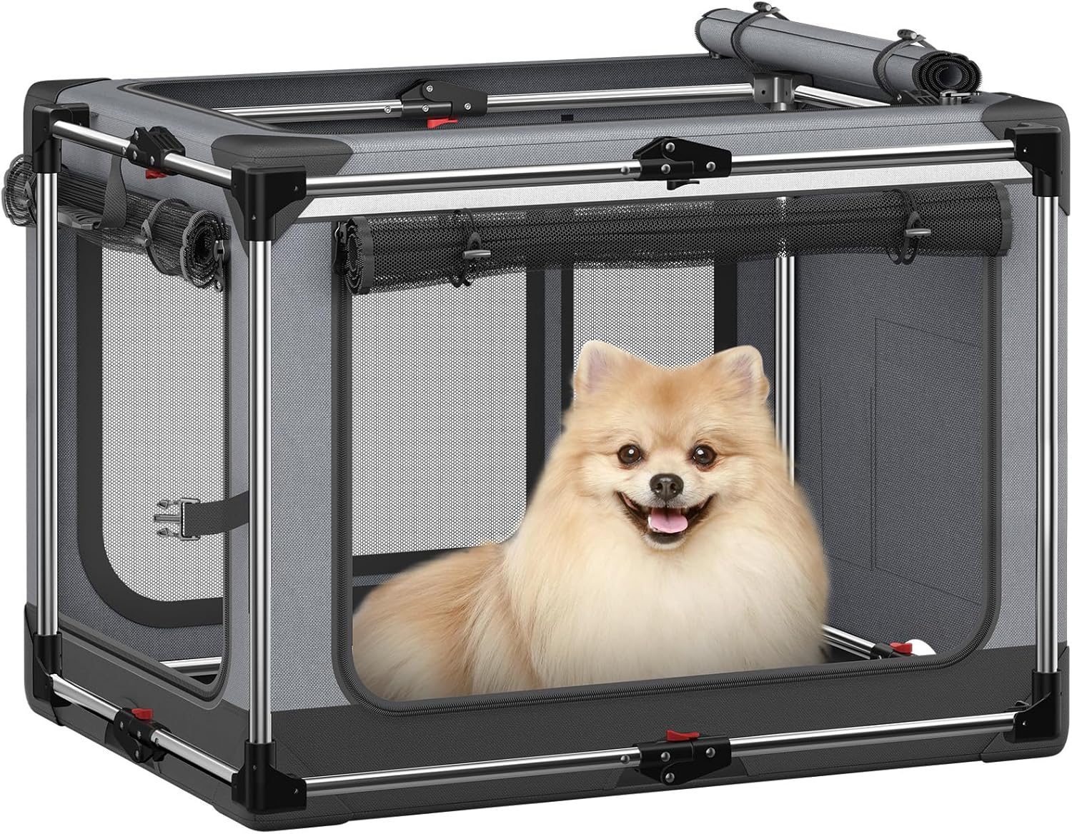 Collapsible Dog Crate for Small Dogs: Portable & Soft-Sided