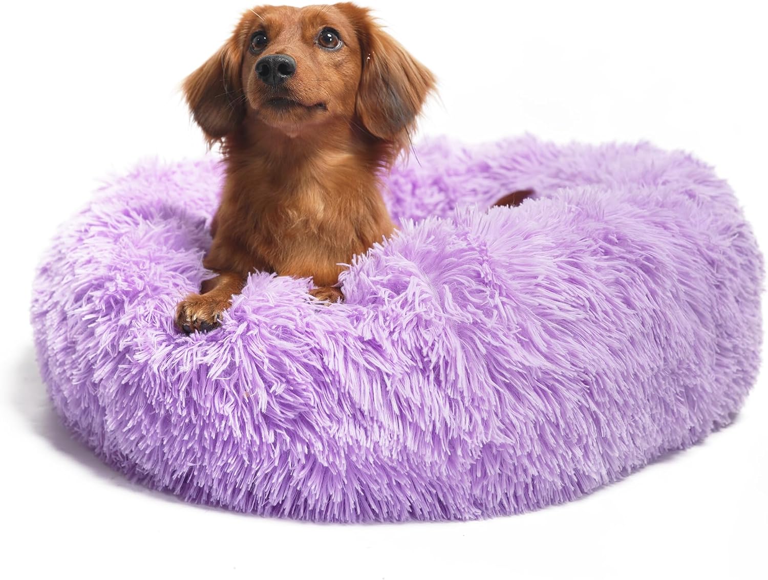Dog Beds for Medium Dogs Washable 30 Inches Purple Anti Anxiety