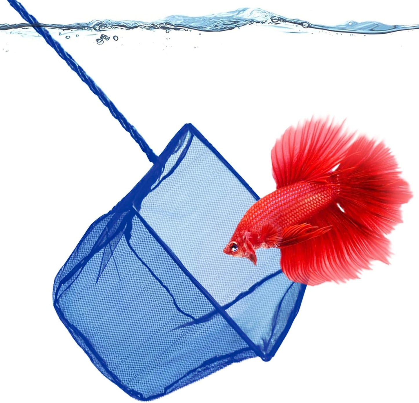 SunGrow Betta Fish Net: Protects Fins, Easy Tank Maintenance