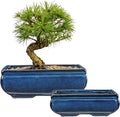 Blue Glazed Ceramic Bonsai Pots Set of 2 - Elegant Planters for Home