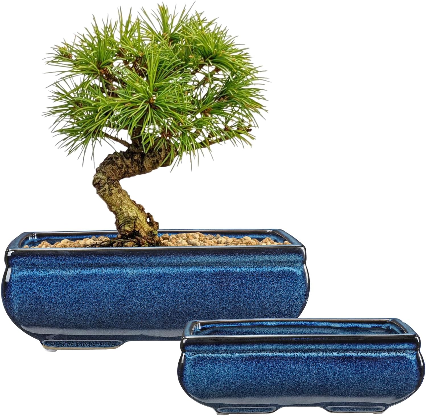 Set of 2 Blue Glazed Ceramic Bonsai Pots for Indoor/Outdoor Use
