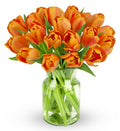 Benchmark Bouquets 20 Stem Orange Tulips - Vase Included