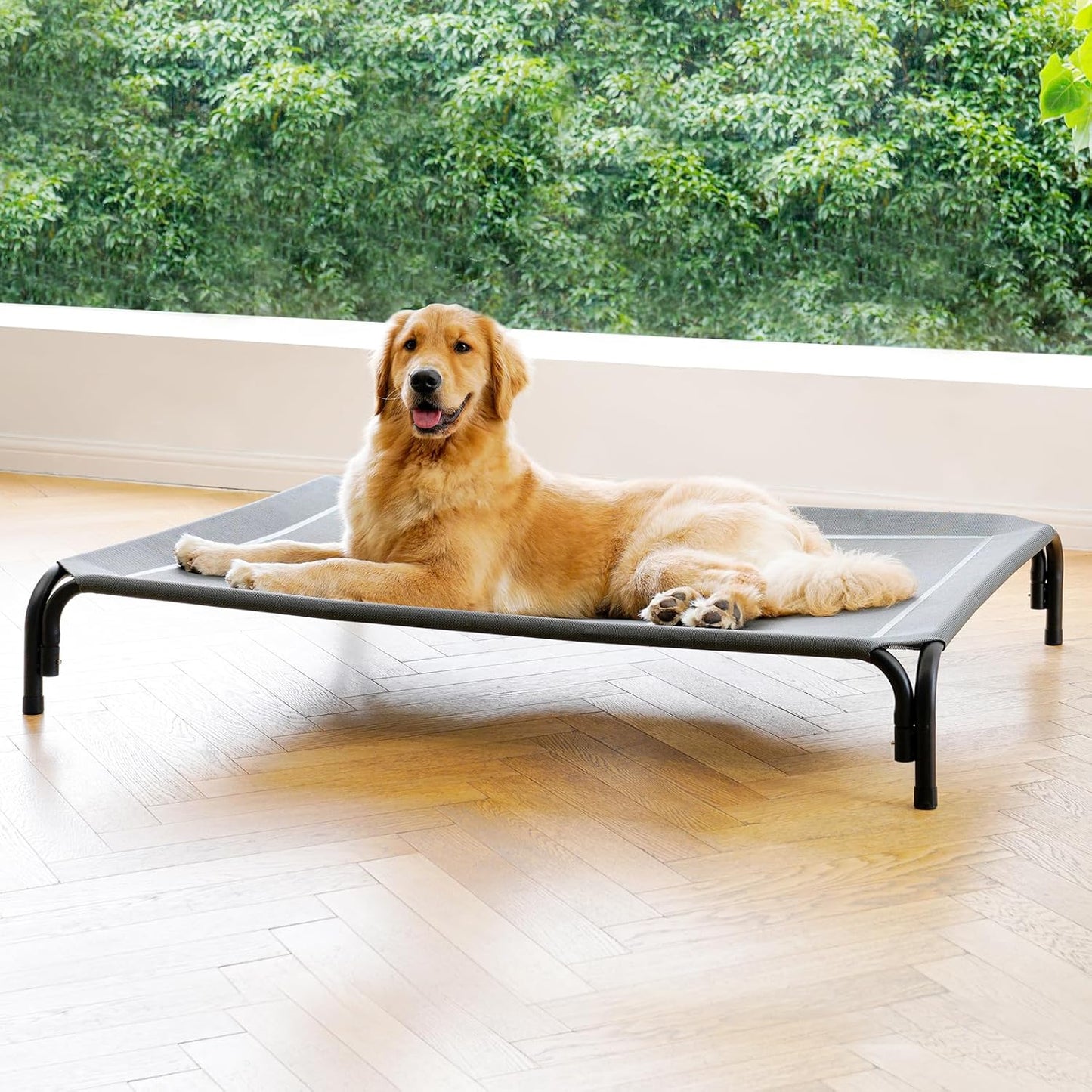Elevated Dog Bed for Extra Large Dogs - Tool-Free Assembly