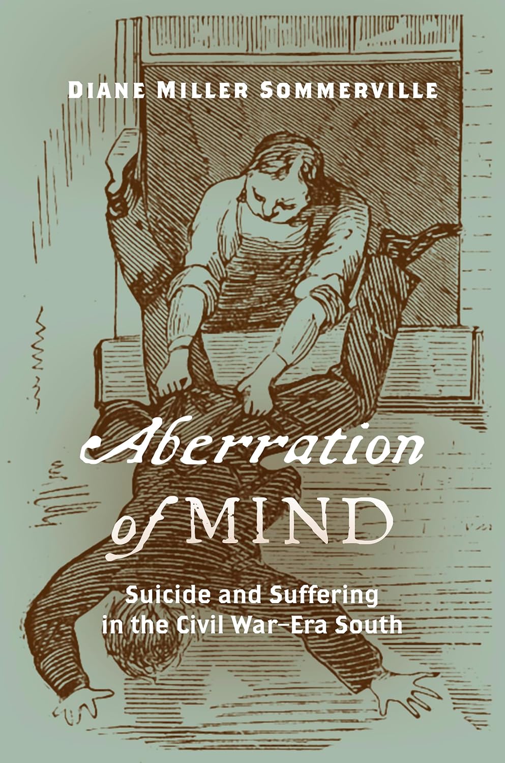 Aberration of Mind: Suicide and Suffering in the Civil War Era