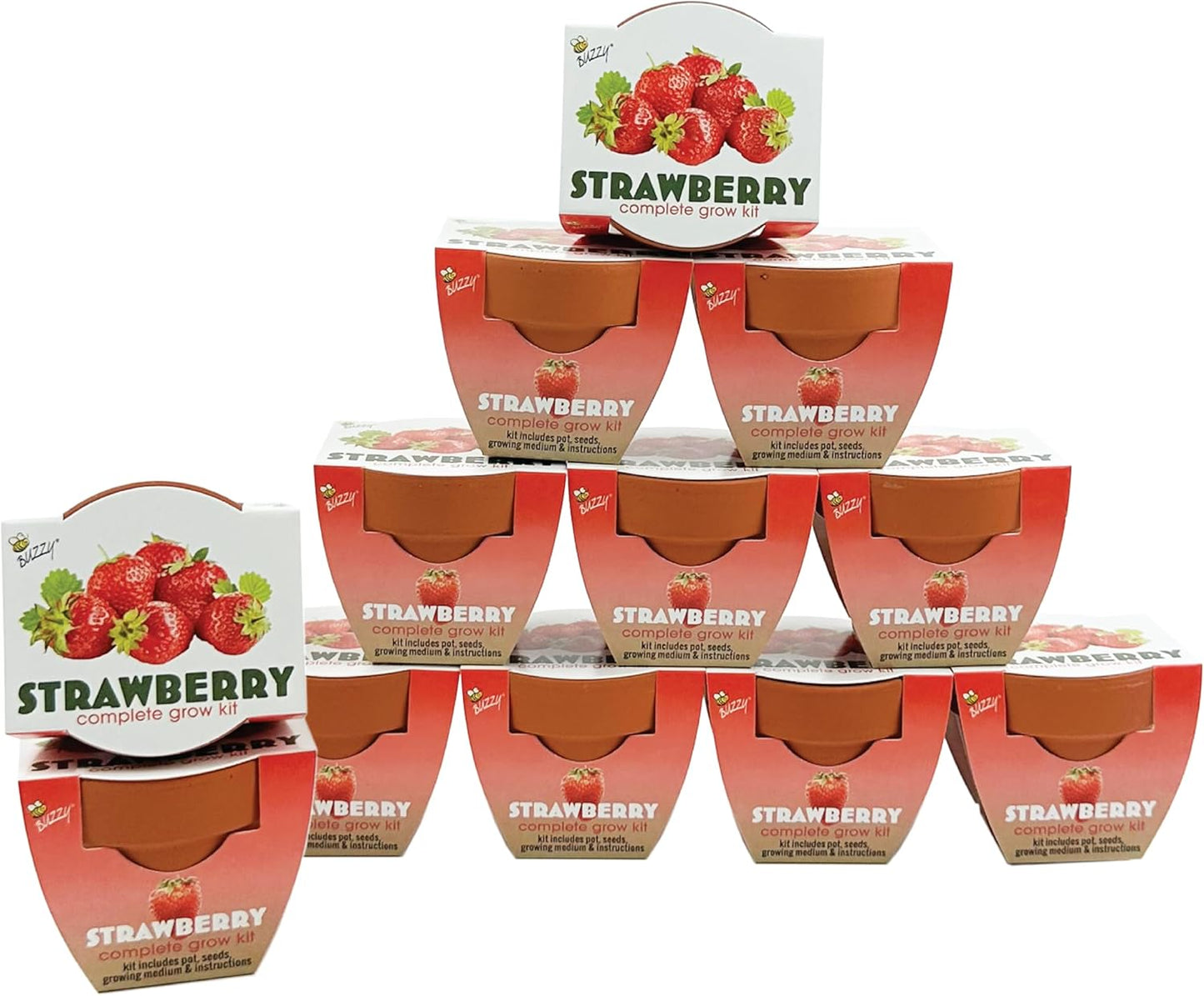 Terracotta Mini Grow Pots for Alpine Strawberries - 12-Pack
